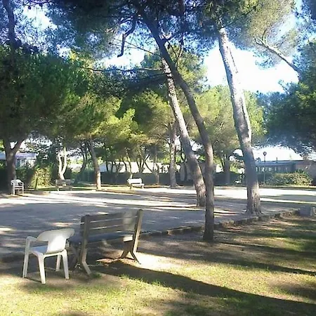 Super Mobilhome Dans Camping 4* Campsite